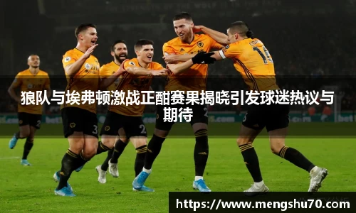 狼队与埃弗顿激战正酣赛果揭晓引发球迷热议与期待