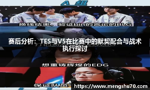 赛后分析：TES与V5在比赛中的默契配合与战术执行探讨